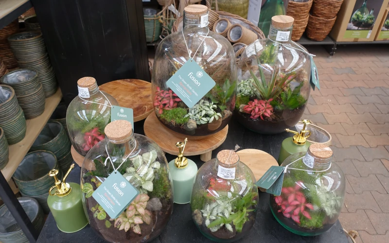 Planten terrariums koop je veilig online bij - Osdorp :)