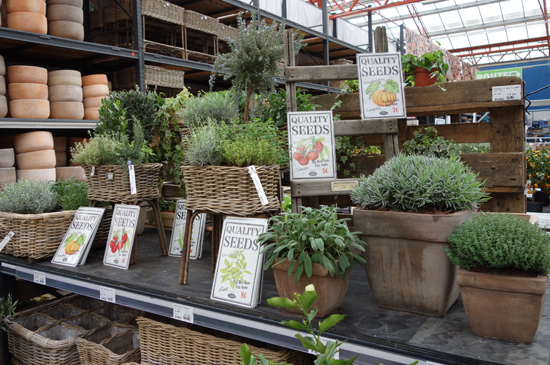 Goederen Definitief diagonaal De lekkerste kruidenplanten koop je bij - tuincentrum Osdorp :)
