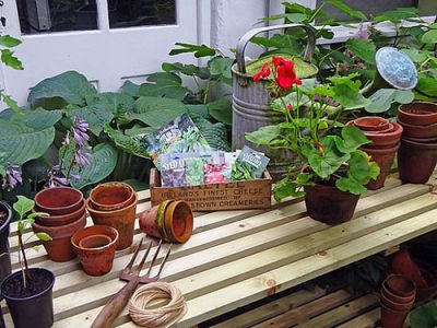 Tuintips voor september: de to-do’s!