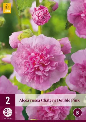 Alcea rosea chaters dble pink 2 stuks - afbeelding 1