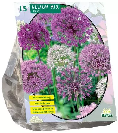 Allium Mix Paars Wit Per Stuks Kopen Tuincentrum Osdorp