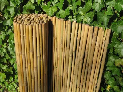 Bamboe rolscherm dalian 150x180 cm