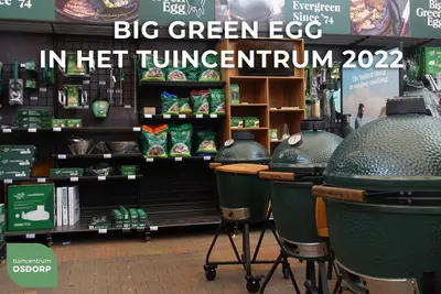 Big Green Egg spaarpot keramiek 12x9cm groen - afbeelding 2