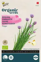 Buzzy zaden organic bieslook prager (BIO) kopen?