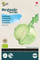 Buzzy zaden organic Koolrabi korist f1 (BIO) - afbeelding 1