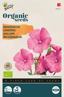 Buzzy zaden organic lavatera, bekermalva rose/rood (BIO) kopen?