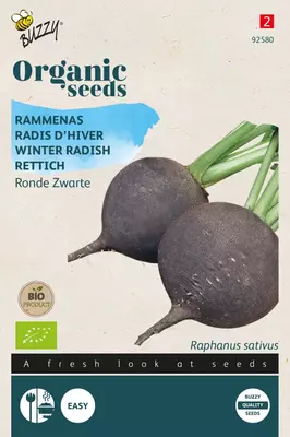 Buzzy zaden Organic Rammenas Ronde Zwarte (BIO) - afbeelding 1