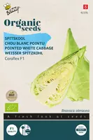 Buzzy zaden organic Spitskool caraflex f1 (BIO) kopen?