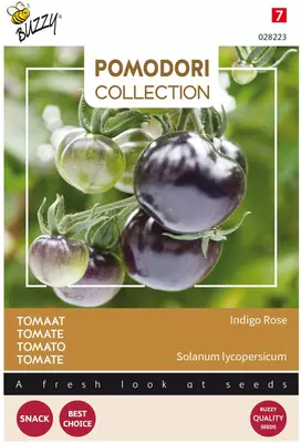 Buzzy zaden Pomodori, Tomaat indigo rose 8zdn - afbeelding 1