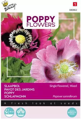 Buzzy zaden Poppy Flowers, Papaver slaapbol - afbeelding 1