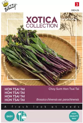 Buzzy zaden Xotica Purple Choy Sum Hon Tsai Tai - afbeelding 1