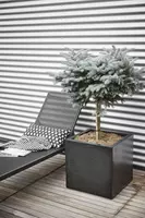 Capi lux terrazzo plantenbak 30x30x30 cm zwart - afbeelding 3
