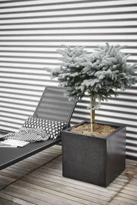 Capi lux terrazzo plantenbak 40x40x40 cm zwart - afbeelding 2