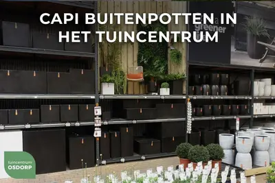 Capi nature rib nl kunststof plantenbak 40x40x40 cm zwart - afbeelding 5