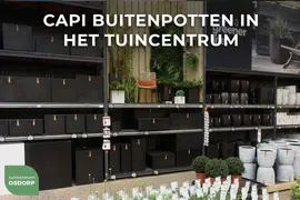 Capi urban bol smooth nl kunststof bloempot 54x52 cm zwart - afbeelding 5