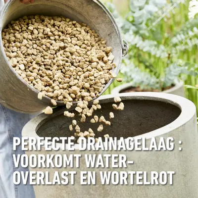 Compo Bio Granuplant Hydrokorrels 10l - afbeelding 4