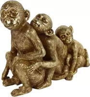 Countryfield ornament aap familie holli 24x8,5x18,5 cm goud kopen?