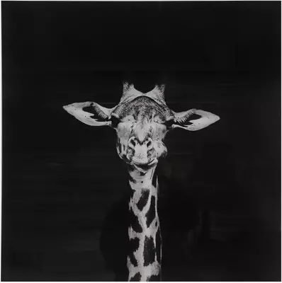 Countryfield schilderij glas makela giraf 80x80cm zwart, wit