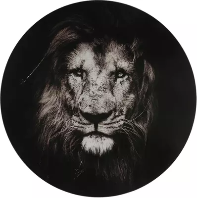 Countryfield schilderij glas musafa leeuw 60cm zwart, wit