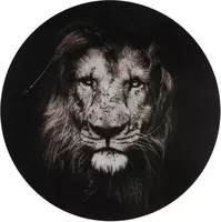Countryfield schilderij glas musafa leeuw 60cm zwart, wit kopen?