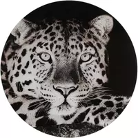 Countryfield schilderij glas wild life luipaard 50cm zwart, wit kopen?