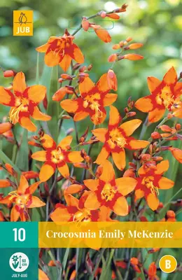 Crocosmia emily mckenzie 10 stuks - afbeelding 1