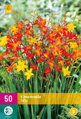 Crocosmia mix 50 stuks - afbeelding 1