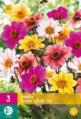 Dahlia happy single mix 3 stuks - afbeelding 1