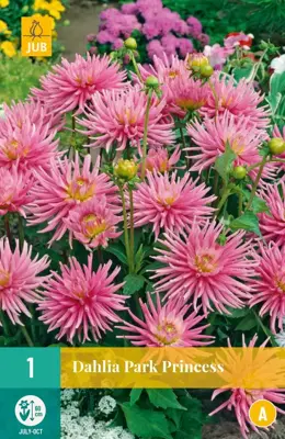 Dahlia park princess 1 stuks - afbeelding 1