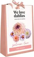 Dahlia salmon love 4 styuks - afbeelding 1