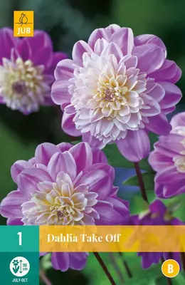 Dahlia take off 1 stuks - afbeelding 1