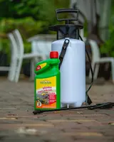 Ecostyle Ultima onkruid & mos concentraat  2.5l - afbeelding 4