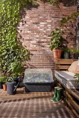 Elho Green Basics grow garden kweekhuis L transparant - afbeelding 7