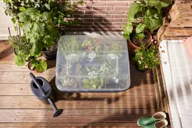 Elho Green Basics grow garden kweekhuis L transparant - afbeelding 6