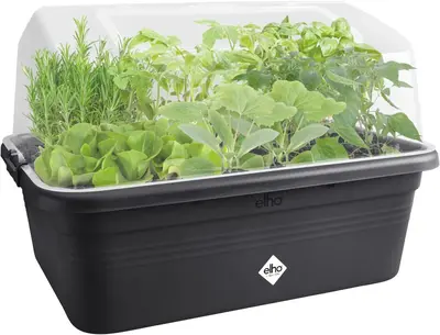 Elho Green Basics grow garden kweekhuis L transparant - afbeelding 3