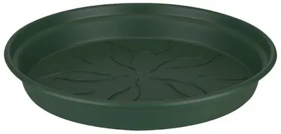 Elho green basics schotel 22 cm blad groen - afbeelding 1