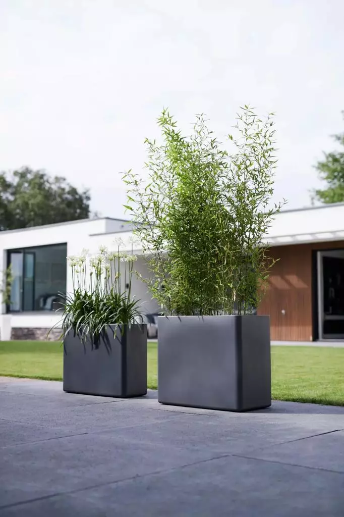 Scheur Voorvoegsel controller Elho pure soft brick divider large plantenbak met wielen 80 cm antraciet  kopen? - tuincentrum Osdorp :)