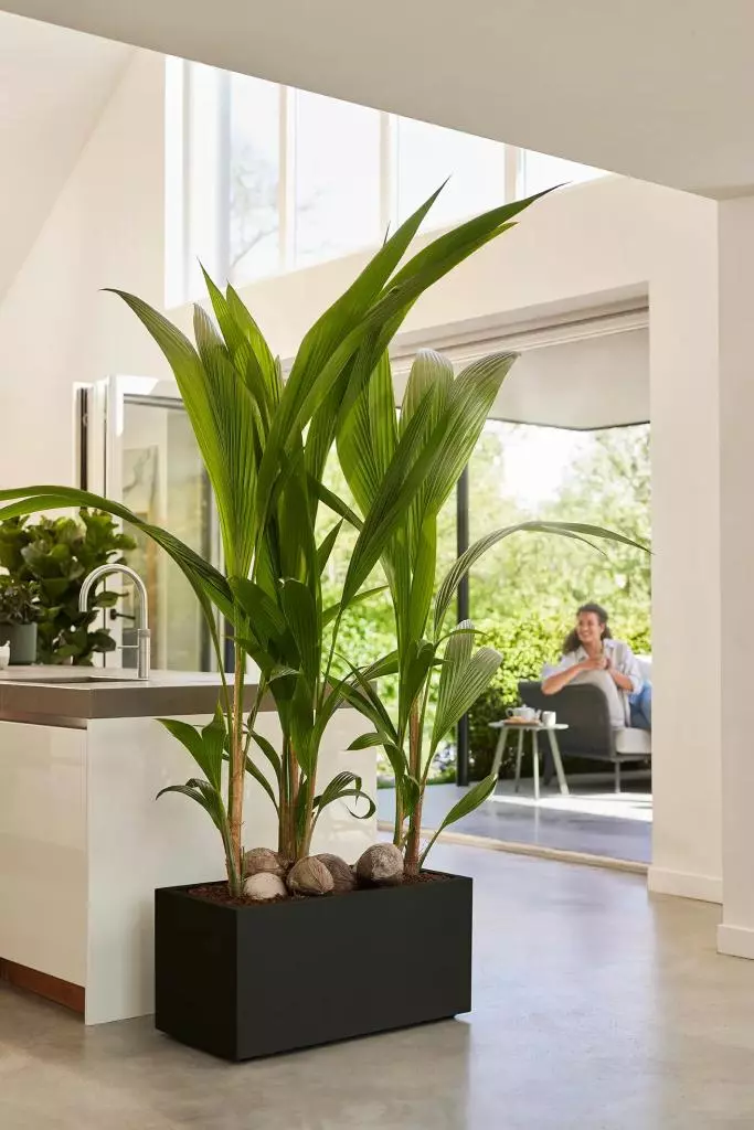vivo plantenbak met wieltjes 80cm living black - tuincentrum :)