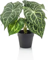 Emerald kunstplant anthurium 23cm groen - afbeelding 1