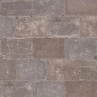 Excluton Abbeystones 20x30x6 cm Montecassio kopen?