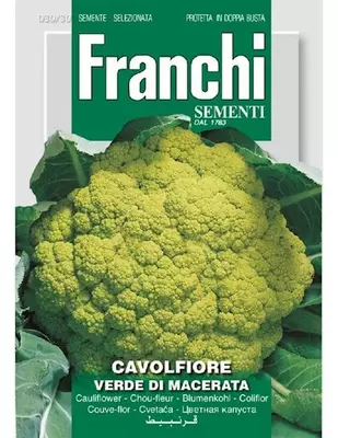Franchi sementi zaden Bloemkool, Cavolfiore Verde de Macerata - afbeelding 1