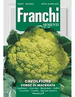 Franchi sementi zaden Bloemkool, Cavolfiore Verde de Macerata - afbeelding 1