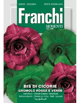 Franchi sementi zaden Cichorei bis di cicorie Grumolo rosse e verde - afbeelding 1