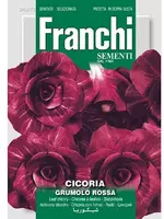 Franchi sementi zaden Cichorei, Cicoria Rossa di Verona Tardiva - afbeelding 1