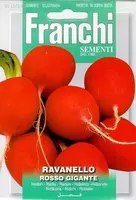 Franchi sementi zaden radijs, ravanello rosso gigante - afbeelding 1