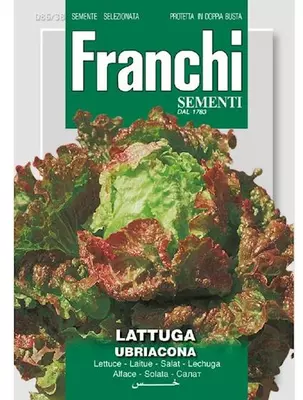 Franchi sementi zaden Sla Ubriacona - afbeelding 1