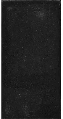 Gardenlux Betontegel zwart 15x30x4,5 cm