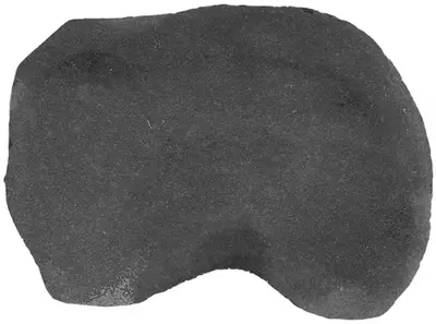 Gardenlux Flagstone Staptegels Black Pearl Zwart ± 0,2 m² - afbeelding 1