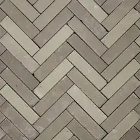 Gardenlux Gebakken Dikformaat Hollandse Streken Getrommeld Twents 6,5x20x6 cm kopen?