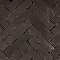 Gardenlux Gebakken Waalformaat Hollandse Streken Getrommeld Betuwe 5x20x6 cm kopen?
